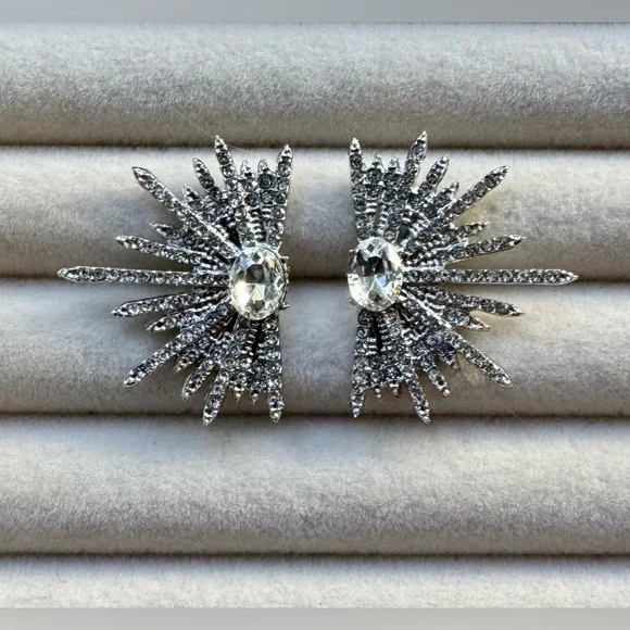 ✨ Stunning Zircon Winged Stud Earrings - Picture 9 of 10